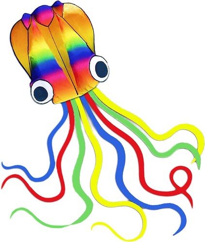Enorme aquilone arcobaleno - enorme,