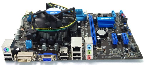 Pacchetto scheda madre - , asus