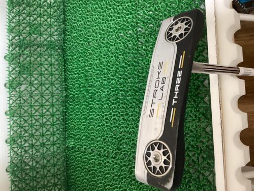 Odyssey stroke lab three - stroke,