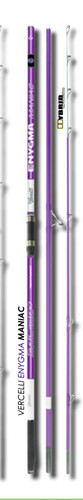 Canna vercelli enigma maniac - canna,