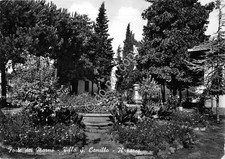 Cartolina - Postcard - Forte