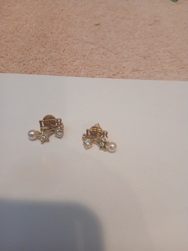 Dior evolution earrings - evolution,