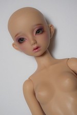 Volks SD BJD - Full Choice