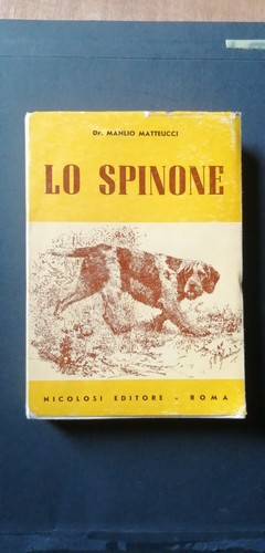 Spinone manlio matteucci - lo,