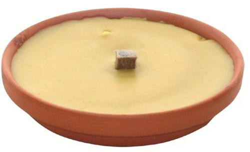 Citronella anti zanzara