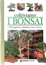 Coltiviamo i bonsai. Stili