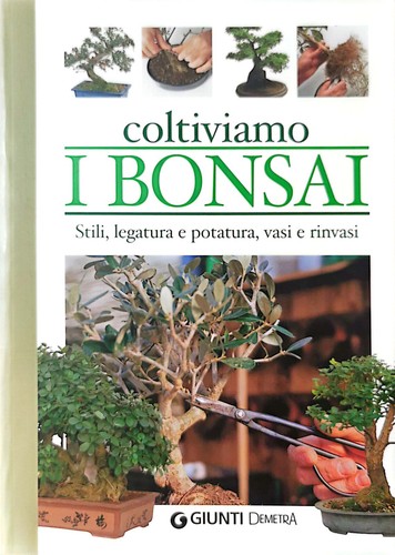 Coltiviamo bonsai stili - bonsai.,