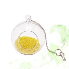  Giocattoli Conuro Per Pappagalli Giocattolo Del Pappagallo Uccelli