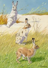 Quadro William Neave Parker