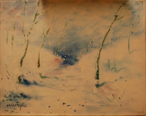 Paesaggio bufera neve - paesaggio,
