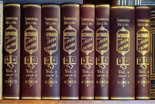 Dizionario della lingua - dizionario,