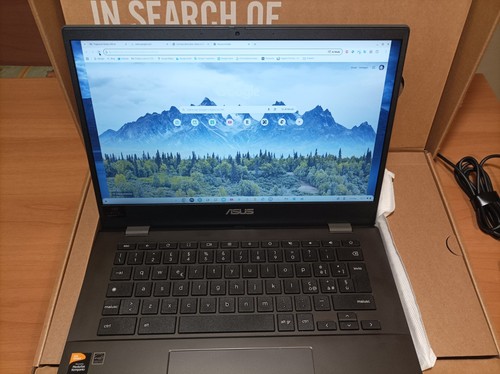 Asus chromebook cm1402cm2 - asus,