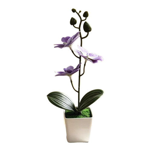 Bonsai magnolia artificiale - bonsai, di