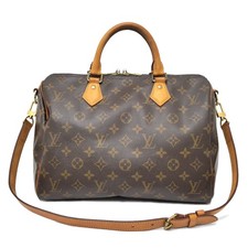 LOUIS VUITTON Speedy