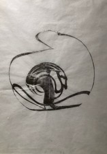 Domenico Bianchi palladio su