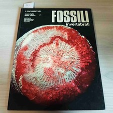 I FOSSILI INVERTEBRATI