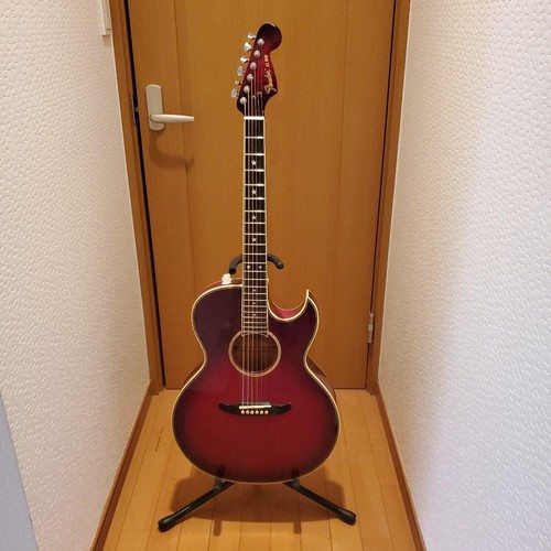 Fender rio chitarra - rio,