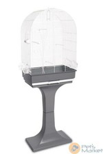 Gabbia uccelli e piccoli