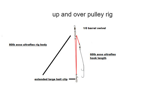 Pulegge and over con - 10,