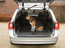 Gabbia Pieghevole per Cani e