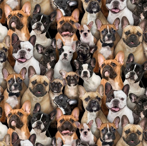 Tessuto animale miglior - animale, |