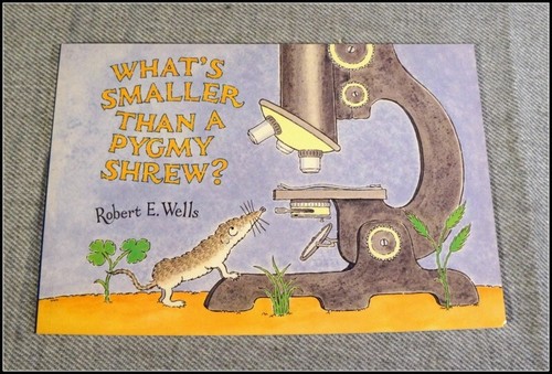 What smaller than a - smaller,