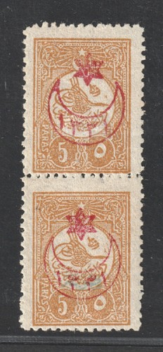 Turchia 305 313 coppia di - turchia,
