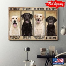 New Version Labrador Retriever