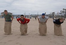 1 - 24" x 40" - Sacchetti di