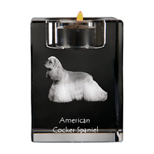Americano Cocker Spaniel