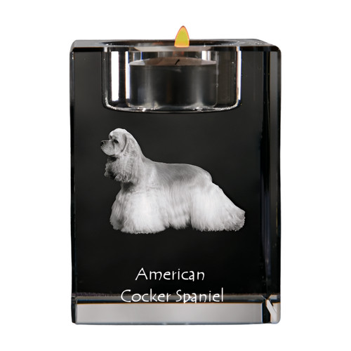 Cocker spaniel americano - cocker,