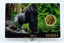 Gorilla africano - Africa's