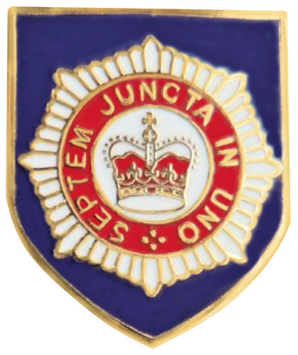 Distintivo spilla esercito