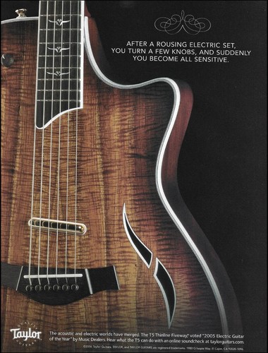 Pubblicità chitarra elettrica