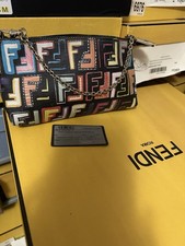 Fendi Multicolor Pouch