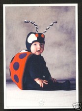Baby Child as Lady-Bird Funny