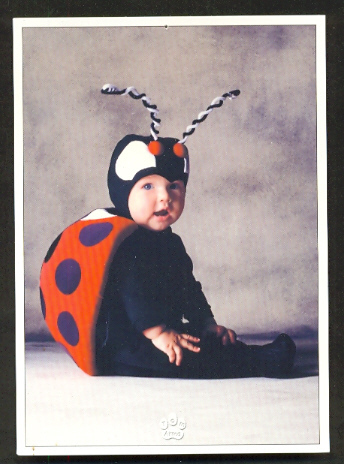 Baby child lady bird - child, as