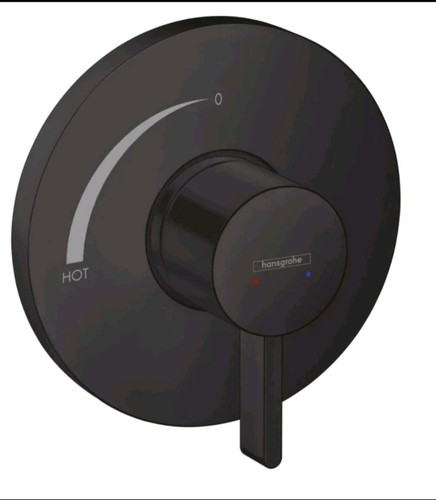 Hansgrohe 15739671