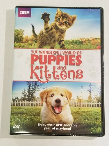 The wonderful world - world, puppies
