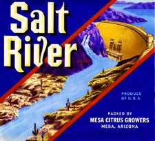 Mesa arizona salt river - salt, dam