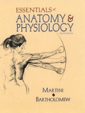 Essentials of Anatomy and