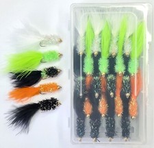 Goldhead Taddies Colori e
