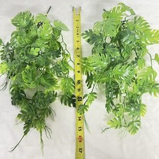 2pz Zoo Med Amazzonico Phyllo