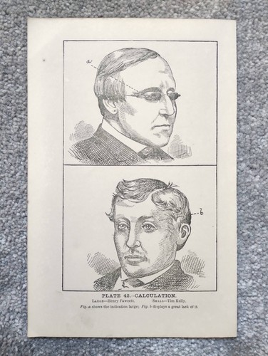 Calculation phrenology - calculation,