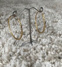 Orecchini cerchio serpente