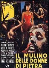 DVD / IL MULINO DELLE DONNE DI PIETRA / REGIA DI GIORGIO FERRONI
