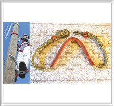 Corda di Sicurezza Posizionamento su Scala e Tralicci con Ganci per Imbracatura