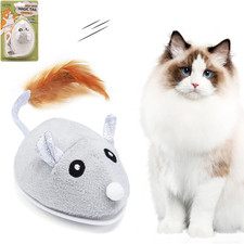 Giochi per Gatti in Casa