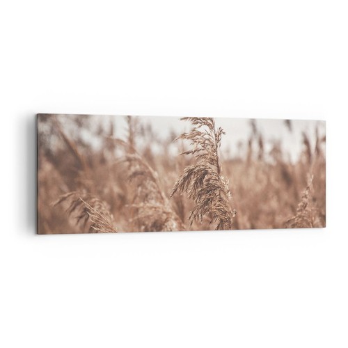 Quadro tela 140x50cm canna - tela,