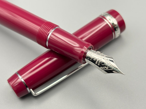 Penna stilografica pilot - penna,